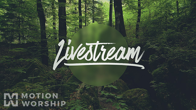 Deep Forest Livestream