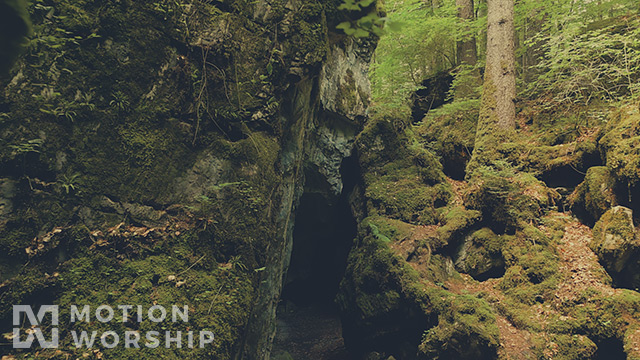 Deep Forest Mossy Boulders