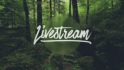 Deep Forest Livestream