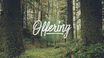 Deep Forest Offering