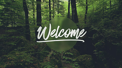 Deep Forest Welcome