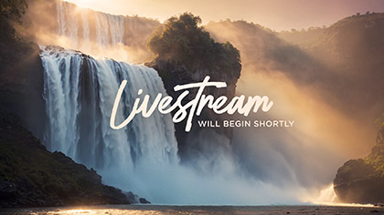 Waterfall Livestream