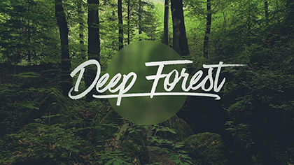 Deep Forest Collection