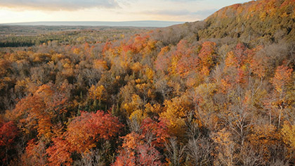 Autumn River Reverse Aerial Slow