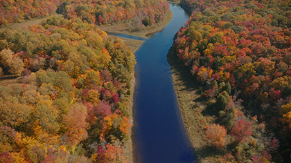 Autumn River Vibrant Trees