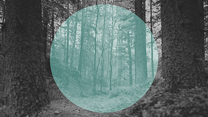 Deep Forest Teal Circle